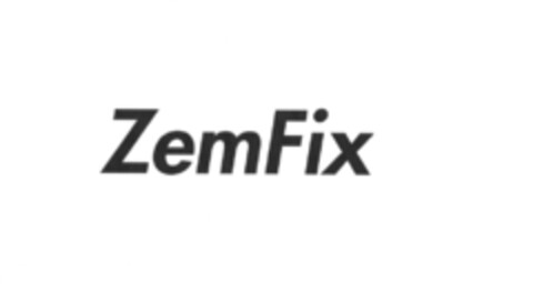 ZemFix Logo (DPMA, 25.06.2010)