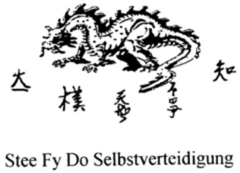 Stee Fy Do Selbstverteidigung Logo (DPMA, 11/18/1999)