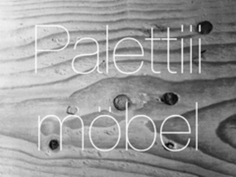 Palettiii möbel Logo (DPMA, 18.06.2014)