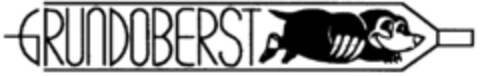 GRUNDOBERST Logo (DPMA, 19.10.1995)