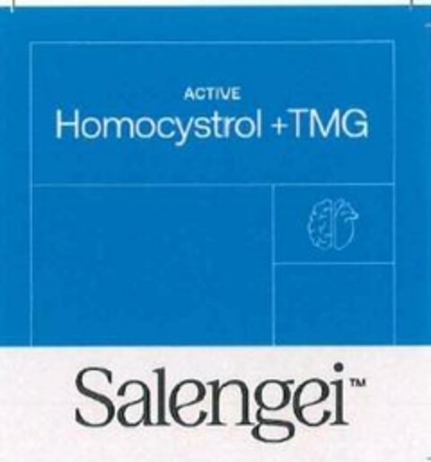 ACTIVE Homocystrol + TMG Salengei Logo (EUIPO, 29.01.2025)