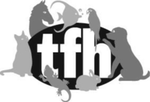 tfh Logo (EUIPO, 03.11.2006)