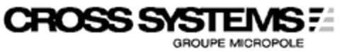 CROSS SYSTEMS GROUPE MICROPOLE Logo (EUIPO, 05/20/2010)