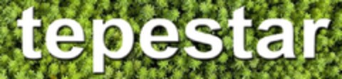 TEPESTAR Logo (EUIPO, 10.11.2010)