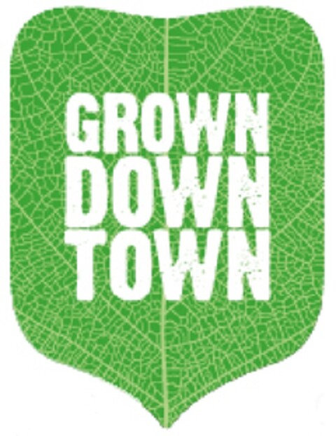 GROWNDOWNTOWN Logo (EUIPO, 22.01.2013)