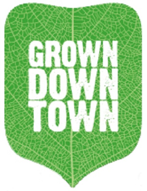 GROWNDOWNTOWN Logo (EUIPO, 01/22/2013)