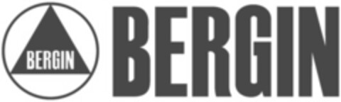 BERGIN Logo (EUIPO, 22.05.2015)