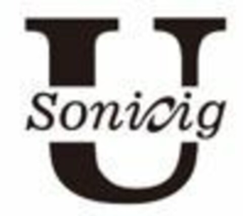 Usonicig Logo (EUIPO, 23.12.2016)