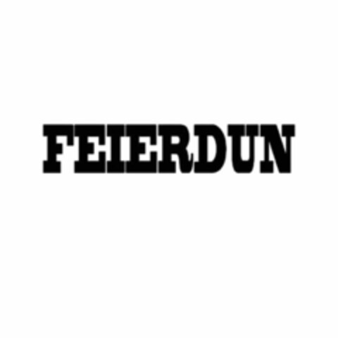 FEIERDUN Logo (EUIPO, 25.05.2020)