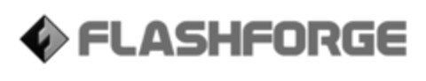 FLASHFORGE Logo (EUIPO, 18.03.2021)