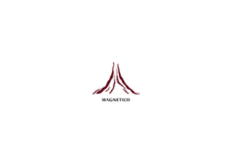 MAGNETICO Logo (EUIPO, 24.04.2015)