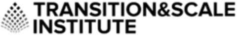 TRANSITION AND SCALE INSTITUTE Logo (EUIPO, 06.07.2023)