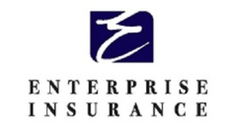 ENTERPRISE INSURANCE Logo (EUIPO, 21.06.2013)