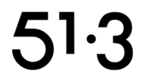 51.3 Logo (EUIPO, 08.01.2019)