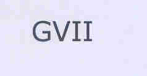 GVII Logo (EUIPO, 07/14/2005)