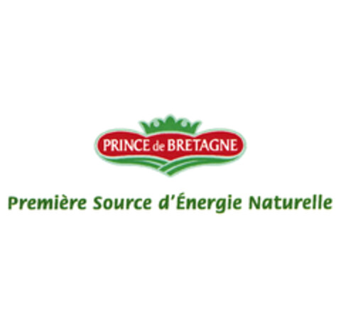 PRINCE de BRETAGNE Première Source d'Énergie Naturelle Logo (EUIPO, 05.10.2005)