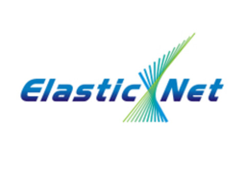 ELASTIC NET Logo (EUIPO, 03.09.2014)