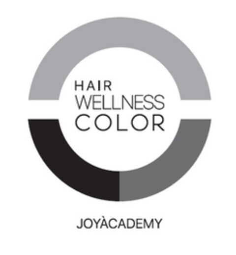 HAIR WELLNESS COLOR JOYÀCADEMY Logo (EUIPO, 31.10.2018)