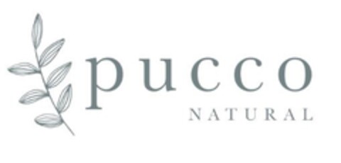 PUCCO NATURAL Logo (EUIPO, 14.05.2019)