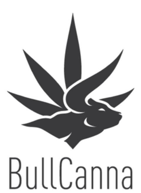 bullcanna Logo (EUIPO, 11.03.2021)