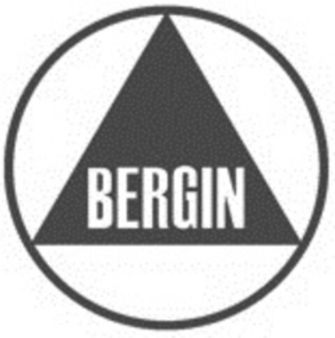 BERGIN Logo (EUIPO, 05/22/2015)