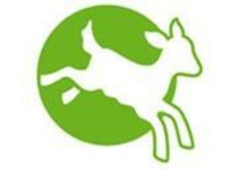  Logo (EUIPO, 03.02.2021)