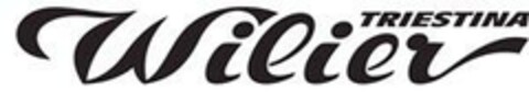 WILIER TRIESTINA Logo (EUIPO, 17.05.2024)