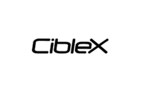 CibleX Logo (EUIPO, 24.08.2005)