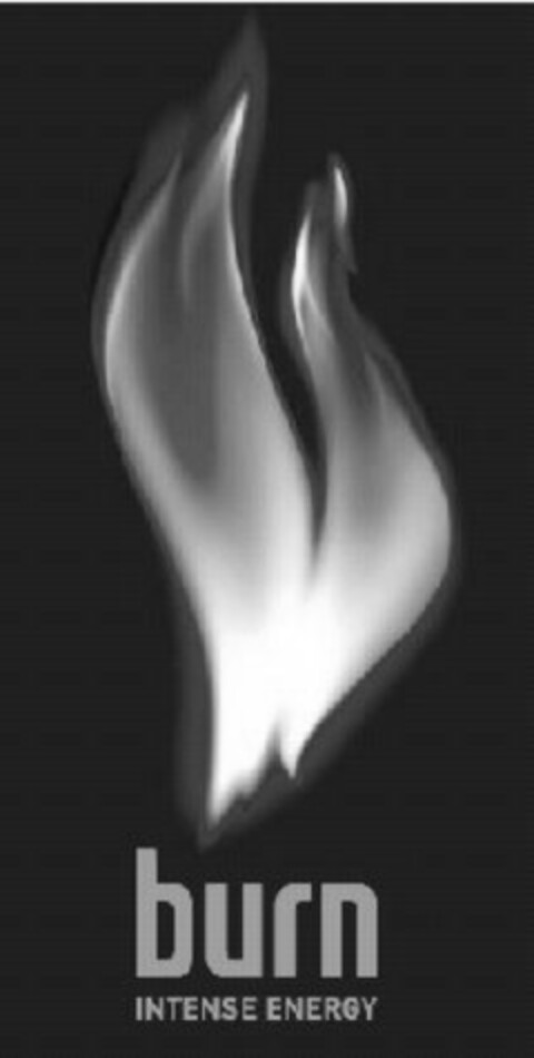 burn INTENSE ENERGY Logo (EUIPO, 22.06.2006)