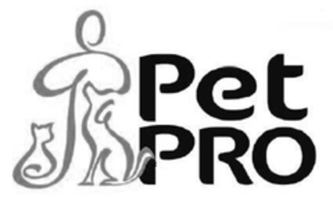 PETPRO Logo (EUIPO, 06.11.2009)