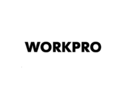 WORKPRO Logo (EUIPO, 13.06.2018)