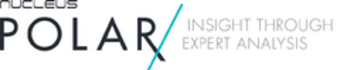 NUCLEUS POLAR INSIGHT THROUGH EXPERT ANALYSIS Logo (EUIPO, 15.03.2019)