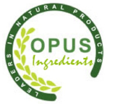 OPUS INGREDIENTS     LEADERS IN NATURAL PRODUCTS Logo (EUIPO, 04.03.2010)