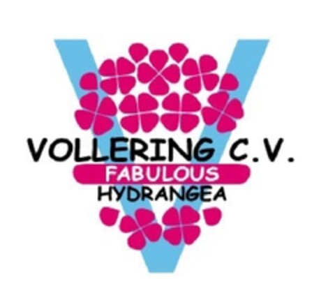 VOLLERING C.V. FABULOUS HYDRANGEA Logo (EUIPO, 13.09.2013)