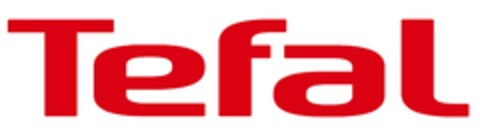 TEFAL Logo (EUIPO, 25.01.2019)