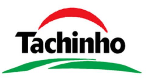 Tachinho Logo (EUIPO, 13.11.2008)