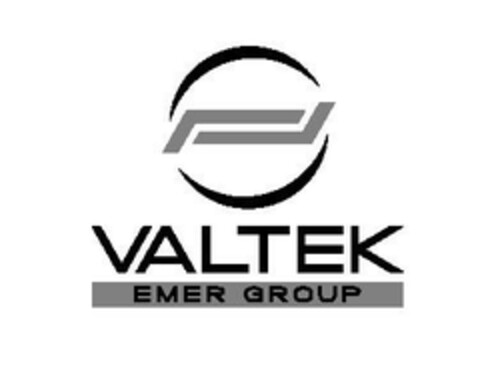 VALTEK EMER GROUP Logo (EUIPO, 02.12.2008)