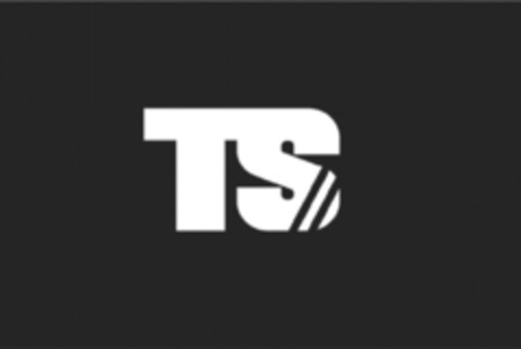 TS Logo (EUIPO, 21.06.2021)