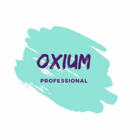 OXIUM PROFESSIONAL Logo (EUIPO, 10/19/2022)