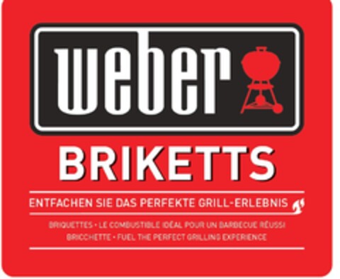 WEBER BRIKETTS ENTFACHEN SIE DAS PERFEKTE GRILL ERLEBNIS Logo (EUIPO, 06/08/2015)