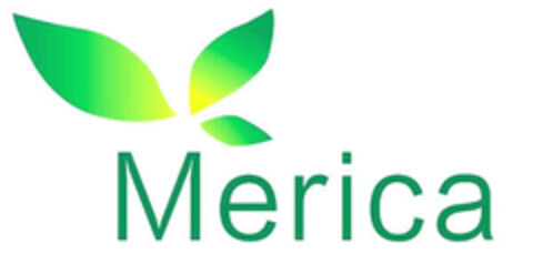 MERICA Logo (EUIPO, 11.03.2016)