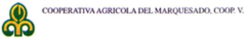 COOPERATIVA AGRICOLA DEL MARQUESADO COOP. V. Logo (EUIPO, 06/29/2004)