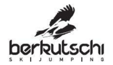 berkutschi SKIJUMPING Logo (EUIPO, 11/10/2008)