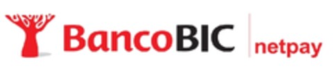 BANCO BIC NETPAY Logo (EUIPO, 20.11.2012)