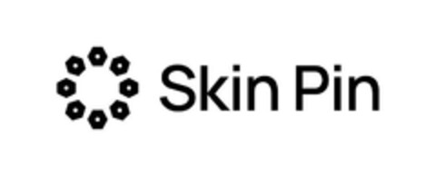 SKIN PIN Logo (EUIPO, 05/08/2023)