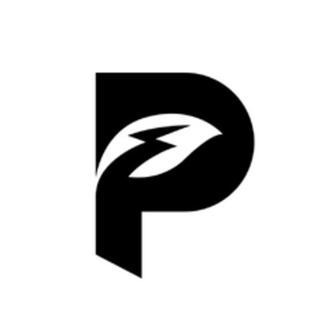 P Logo (EUIPO, 18.08.2023)