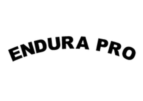 ENDURA PRO Logo (EUIPO, 07/10/2024)