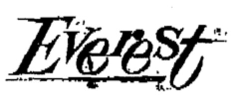 Everest Logo (EUIPO, 11/27/1998)