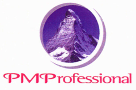 PMProfessional Logo (EUIPO, 07/25/2001)