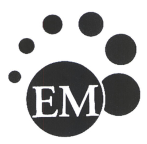 EM Logo (EUIPO, 05.02.2004)